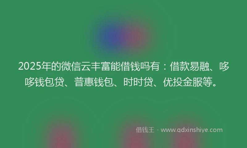 2025年的微信云丰富能借钱吗有：借款易融、哆哆钱包贷、普惠钱包、时时贷、优投金服等。