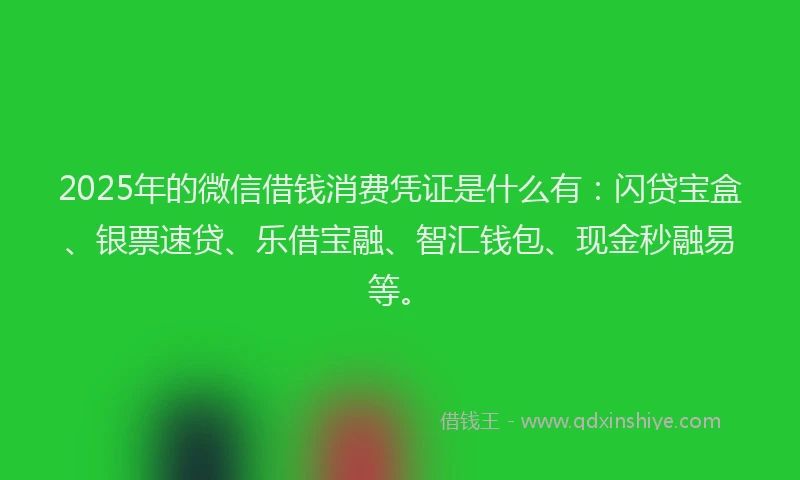 2025年的微信借钱消费凭证是什么有：闪贷宝盒、银票速贷、乐借宝融、智汇钱包、现金秒融易等。