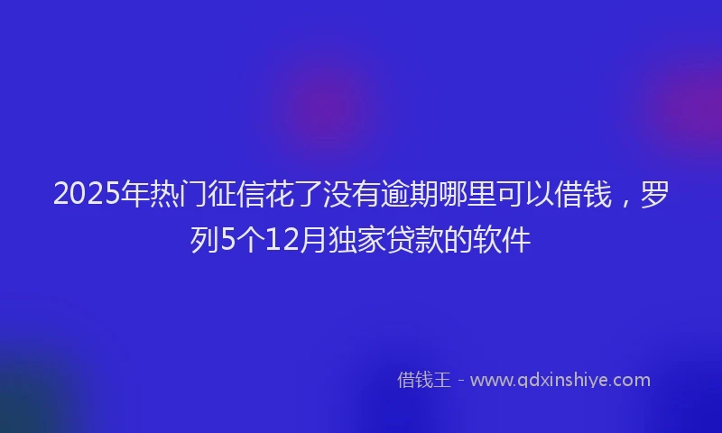 2025年热门征信花了没有逾期哪里可以借钱，罗列5个12月独家贷款的软件