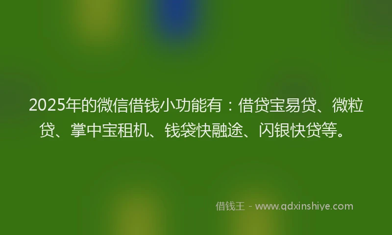 2025年的微信借钱小功能有：借贷宝易贷、微粒贷、掌中宝租机、钱袋快融途、闪银快贷等。