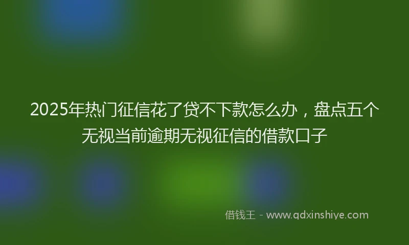 2025年热门征信花了贷不下款怎么办，盘点五个无视当前逾期无视征信的借款口子