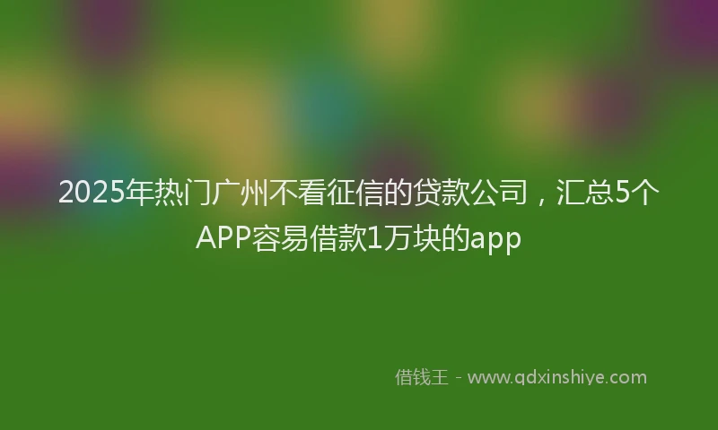 2025年热门广州不看征信的贷款公司，汇总5个APP容易借款1万块的app