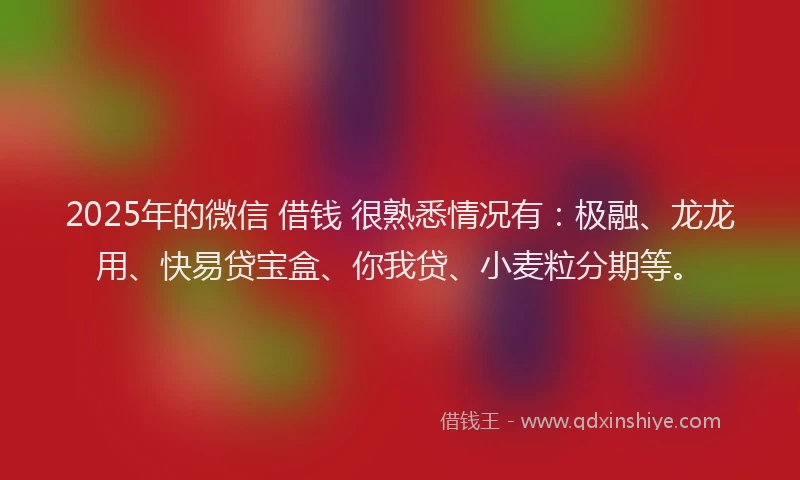 2025年的微信 借钱 很熟悉情况有：极融、龙龙用、快易贷宝盒、你我贷、小麦粒分期等。