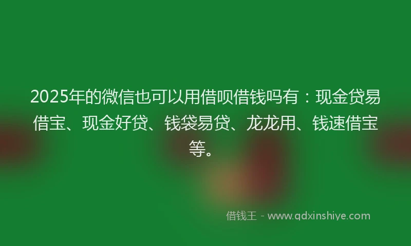 2025年的微信也可以用借呗借钱吗有：现金贷易借宝、现金好贷、钱袋易贷、龙龙用、钱速借宝等。