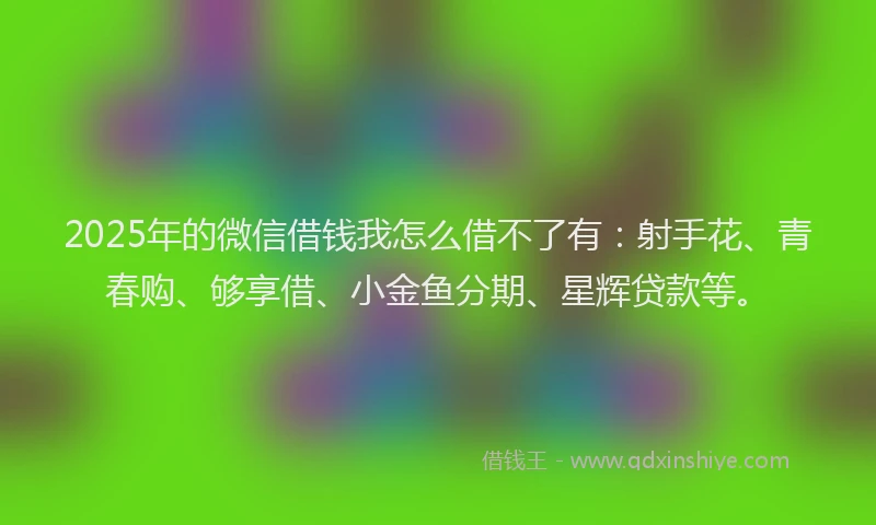 2025年的微信借钱我怎么借不了有：射手花、青春购、够享借、小金鱼分期、星辉贷款等。