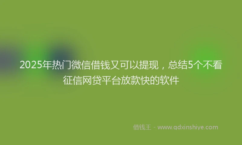 2025年热门微信借钱又可以提现，总结5个不看征信网贷平台放款快的软件