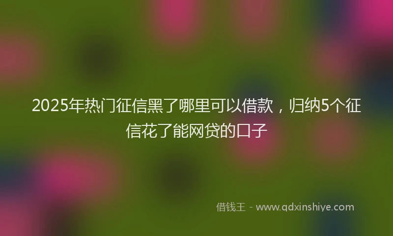 2025年热门征信黑了哪里可以借款，归纳5个征信花了能网贷的口子