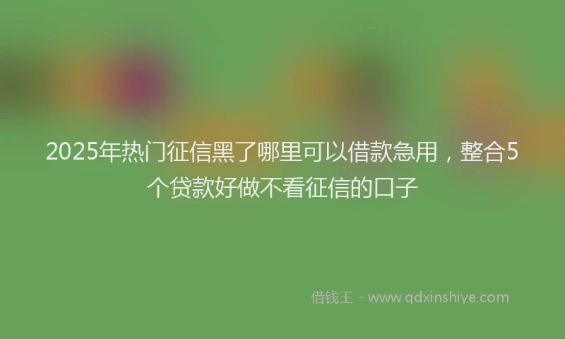 2025年热门征信黑了哪里可以借款急用，整合5个贷款好做不看征信的口子