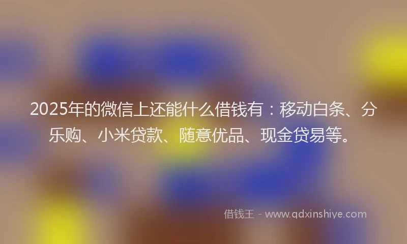 2025年的微信上还能什么借钱有：移动白条、分乐购、小米贷款、随意优品、现金贷易等。