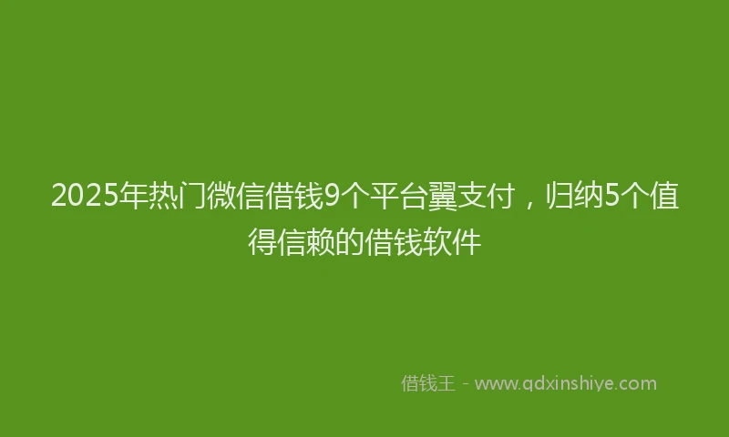 2025年热门微信借钱9个平台翼支付，归纳5个值得信赖的借钱软件