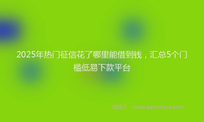 2025年热门征信花了哪里能借到钱，汇总5个门槛低易下款平台