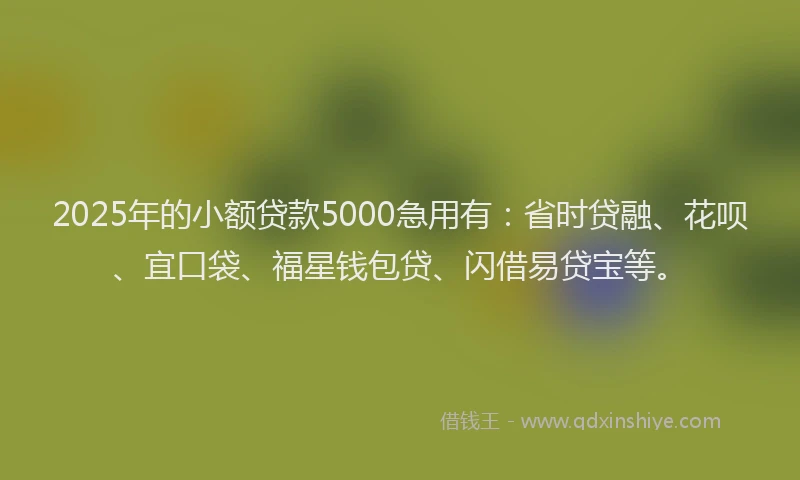 2025年的小额贷款5000急用有：省时贷融、花呗、宜口袋、福星钱包贷、闪借易贷宝等。