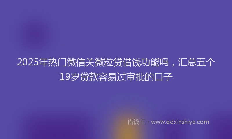 2025年热门微信关微粒贷借钱功能吗，汇总五个19岁贷款容易过审批的口子