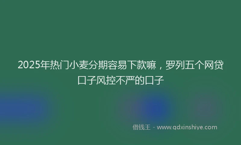 2025年热门小麦分期容易下款嘛，罗列五个网贷口子风控不严的口子