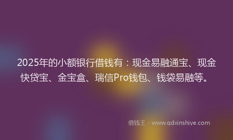 2025年的小额银行借钱有：现金易融通宝、现金快贷宝、金宝盒、瑞信Pro钱包、钱袋易融等。