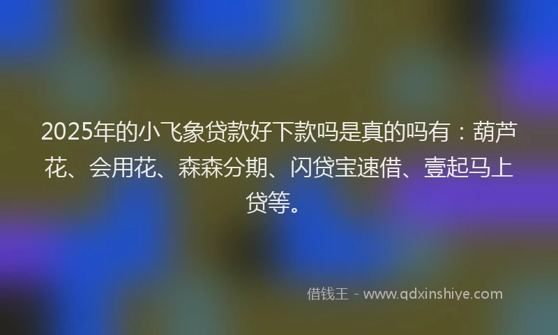 2025年的小飞象贷款好下款吗是真的吗有：葫芦花、会用花、森森分期、闪贷宝速借、壹起马上贷等。