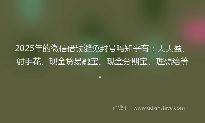 2025年的微信借钱避免封号吗知乎有：天天盈、射手花、现金贷易融宝、现金分期宝、理想给等。