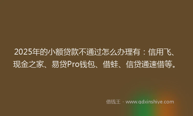 2025年的小额贷款不通过怎么办理有：信用飞、现金之家、易贷Pro钱包、借蛙、信贷通速借等。