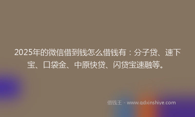 2025年的微信借到钱怎么借钱有：分子贷、速下宝、口袋金、中原快贷、闪贷宝速融等。