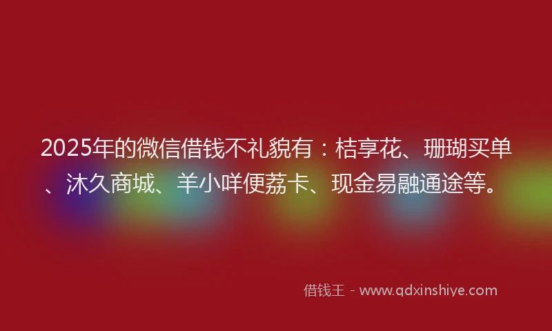 2025年的微信借钱不礼貌有：桔享花、珊瑚买单、沐久商城、羊小咩便荔卡、现金易融通途等。