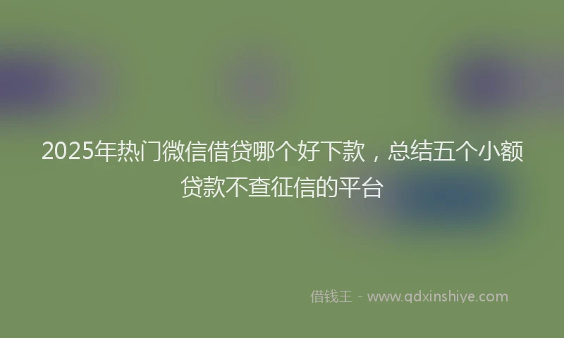 2025年热门微信借贷哪个好下款，总结五个小额贷款不查征信的平台