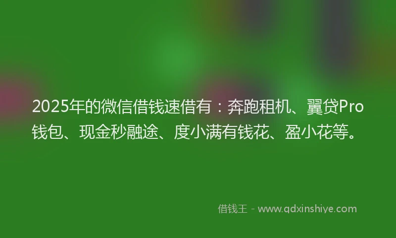 2025年的微信借钱速借有：奔跑租机、翼贷Pro钱包、现金秒融途、度小满有钱花、盈小花等。