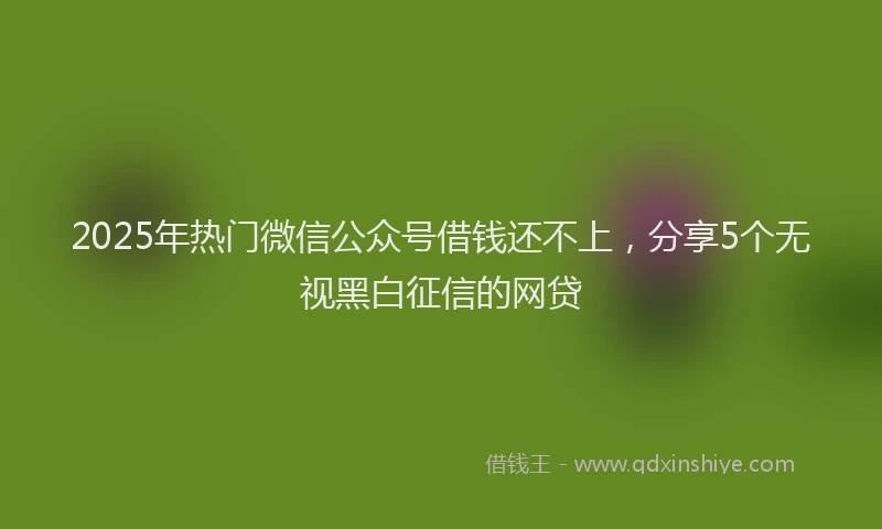 2025年热门微信公众号借钱还不上，分享5个无视黑白征信的网贷