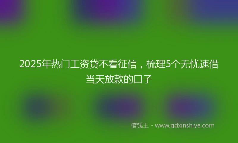 2025年热门工资贷不看征信，梳理5个无忧速借当天放款的口子