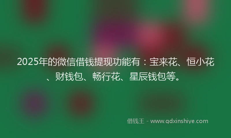 2025年的微信借钱提现功能有：宝来花、恒小花、财钱包、畅行花、星辰钱包等。