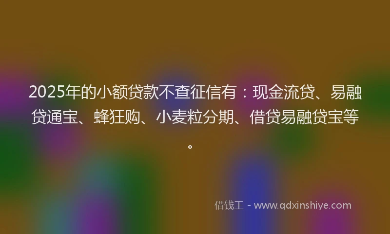 2025年的小额贷款不查征信有：现金流贷、易融贷通宝、蜂狂购、小麦粒分期、借贷易融贷宝等。