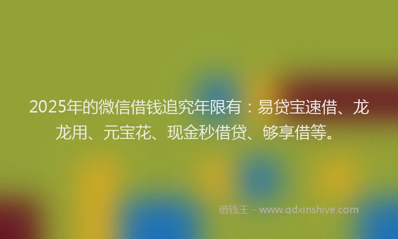 2025年的微信借钱追究年限有：易贷宝速借、龙龙用、元宝花、现金秒借贷、够享借等。