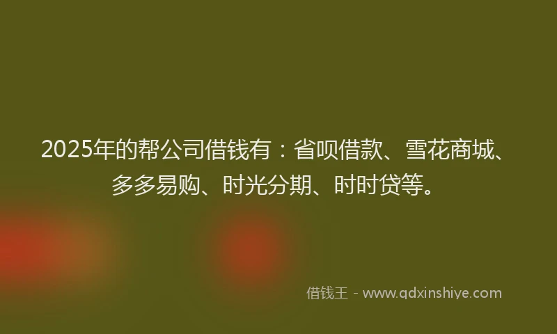 2025年的帮公司借钱有：省呗借款、雪花商城、多多易购、时光分期、时时贷等。