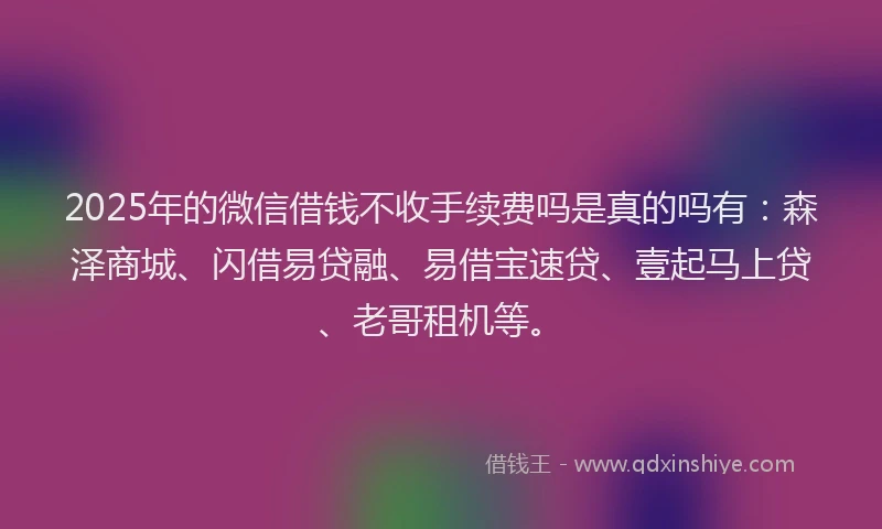 2025年的微信借钱不收手续费吗是真的吗有：森泽商城、闪借易贷融、易借宝速贷、壹起马上贷、老哥租机等。