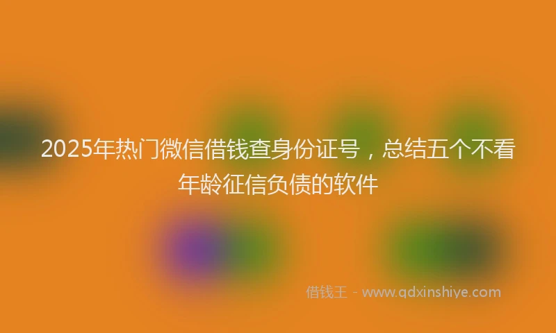 2025年热门微信借钱查身份证号，总结五个不看年龄征信负债的软件