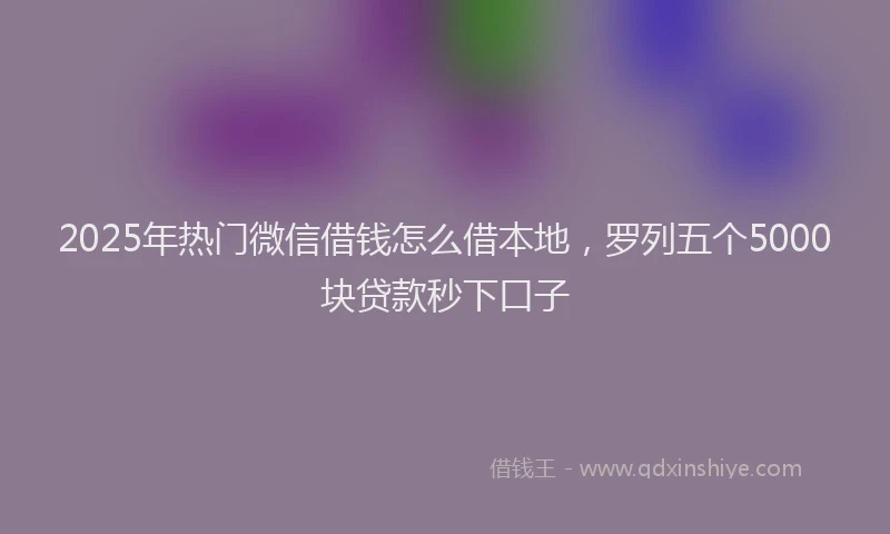 2025年热门微信借钱怎么借本地,罗列五个5000块贷款秒下口子