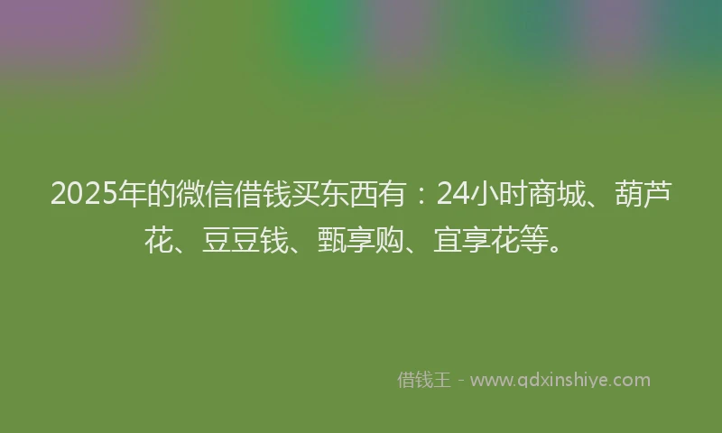 2025年的微信借钱买东西有：24小时商城、葫芦花、豆豆钱、甄享购、宜享花等。