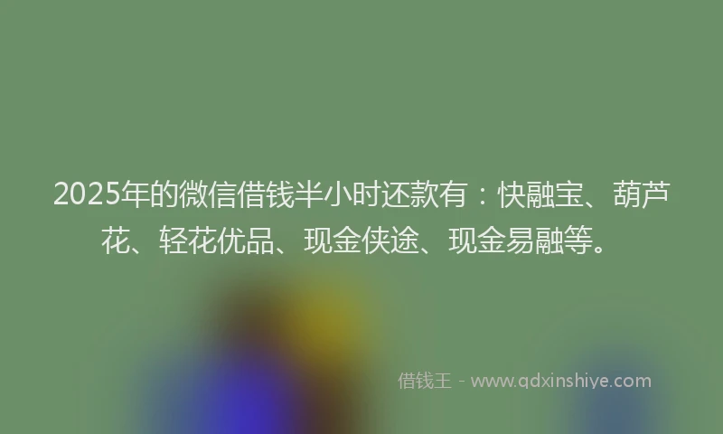 2025年的微信借钱半小时还款有：快融宝、葫芦花、轻花优品、现金侠途、现金易融等。