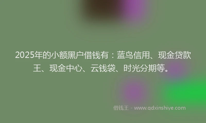 2025年的小额黑户借钱有：蓝鸟信用、现金贷款王、现金中心、云钱袋、时光分期等。