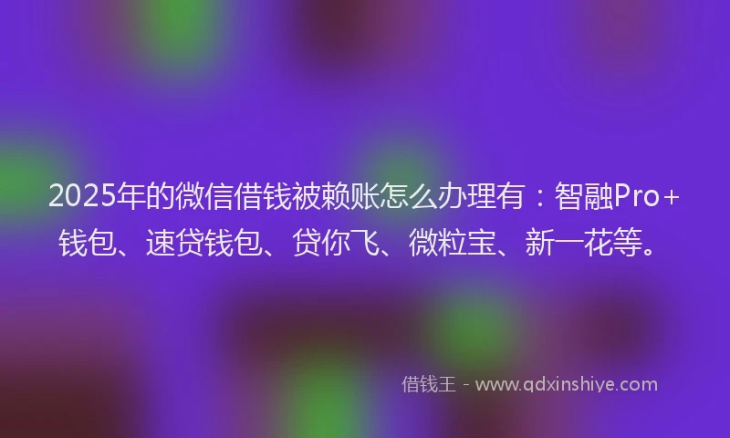 2025年的微信借钱被赖账怎么办理有：智融Pro+钱包、速贷钱包、贷你飞、微粒宝、新一花等。