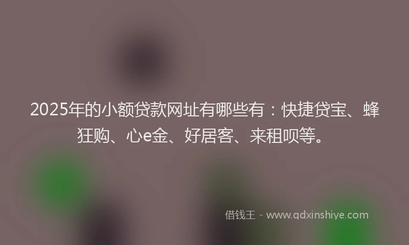 2025年的小额贷款网址有哪些有：快捷贷宝、蜂狂购、心e金、好居客、来租呗等。