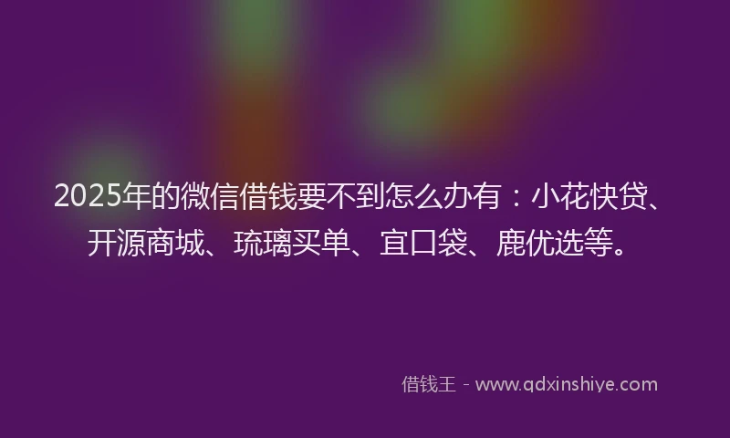 2025年的微信借钱要不到怎么办有：小花快贷、开源商城、琉璃买单、宜口袋、鹿优选等。