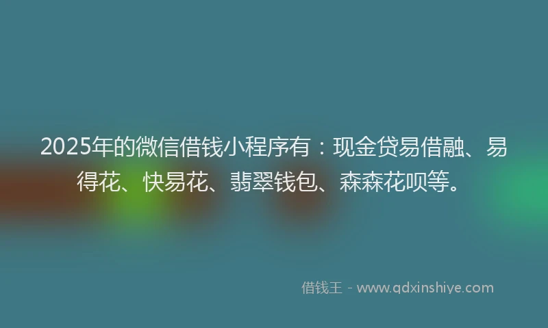 2025年的微信借钱小程序有：现金贷易借融、易得花、快易花、翡翠钱包、森森花呗等。