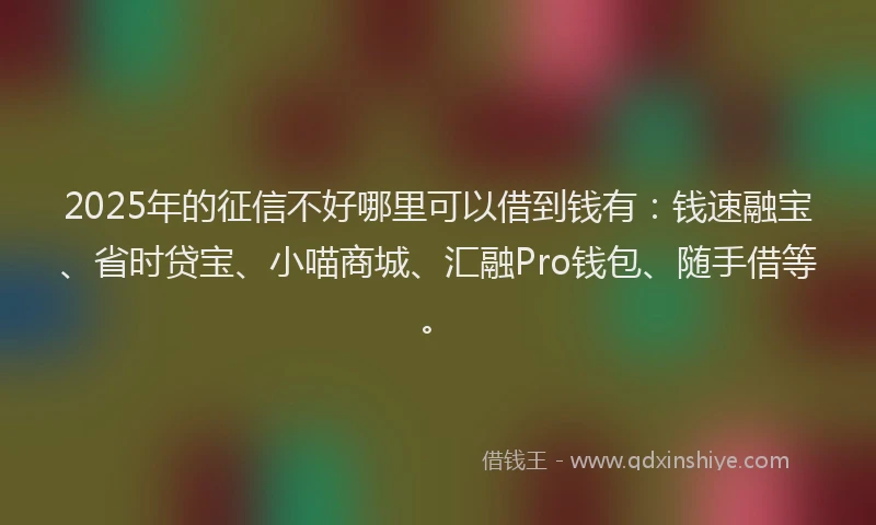 2025年的征信不好哪里可以借到钱有：钱速融宝、省时贷宝、小喵商城、汇融Pro钱包、随手借等。