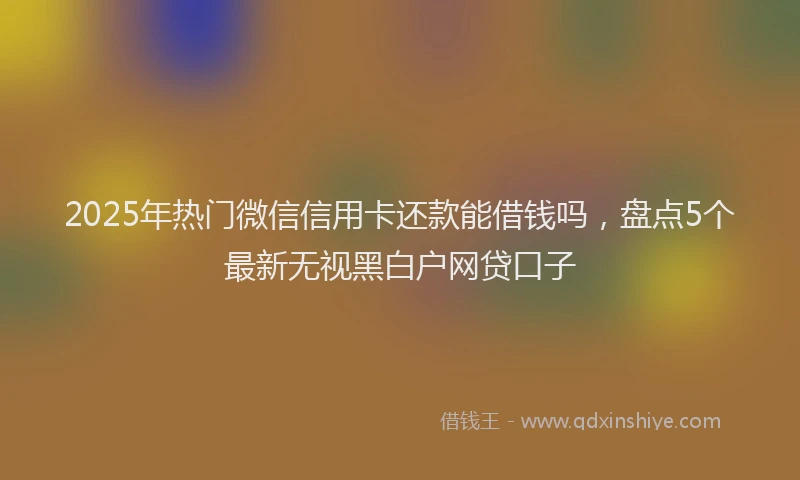 2025年热门微信信用卡还款能借钱吗，盘点5个最新无视黑白户网贷口子