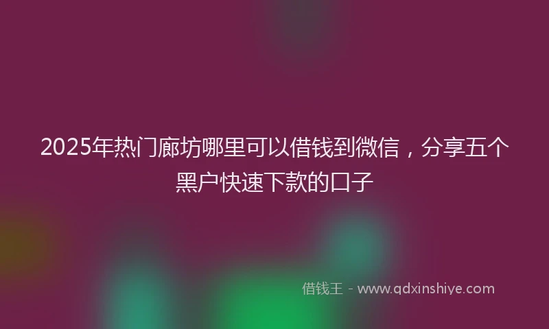 2025年热门廊坊哪里可以借钱到微信，分享五个黑户快速下款的口子