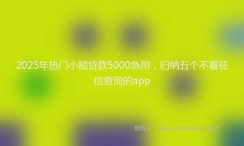 2025年热门小额贷款5000急用，归纳五个不看征信查询的app