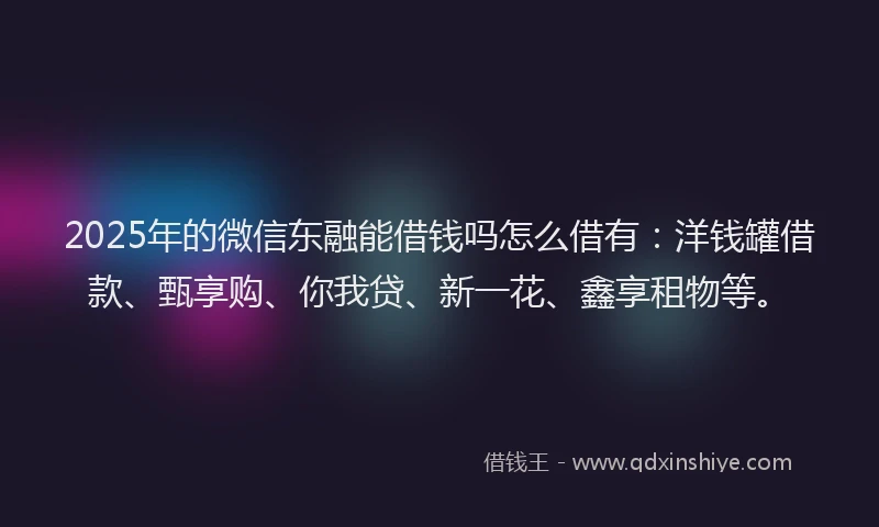 2025年的微信东融能借钱吗怎么借有：洋钱罐借款、甄享购、你我贷、新一花、鑫享租物等。