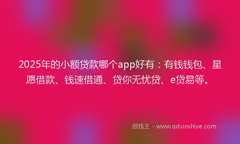 2025年的小额贷款哪个app好有：有钱钱包、星愿借款、钱速借通、贷你无忧贷、e贷易等。