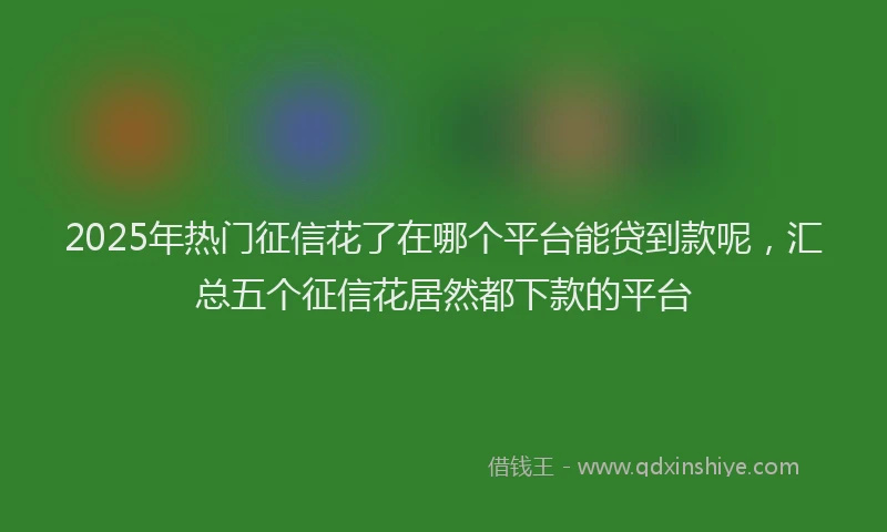 2025年热门征信花了在哪个平台能贷到款呢，汇总五个征信花居然都下款的平台