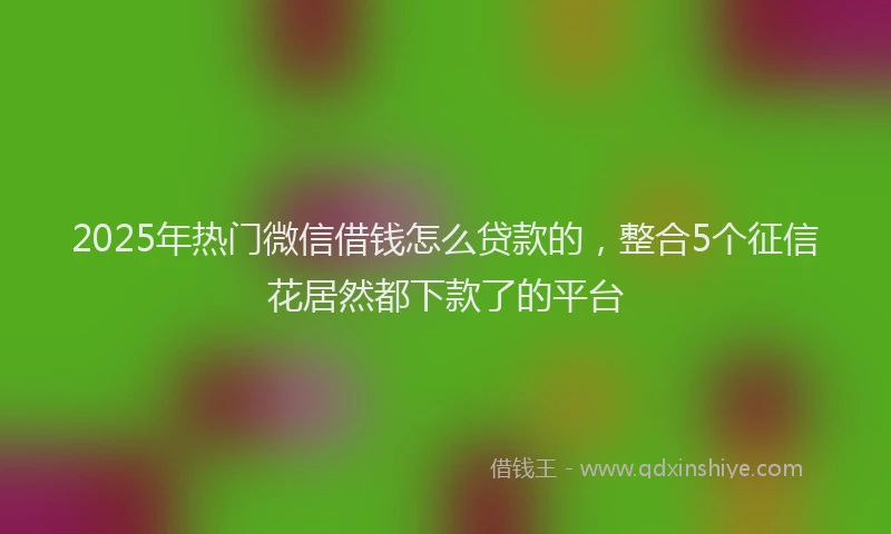 2025年热门微信借钱怎么贷款的，整合5个征信花居然都下款了的平台